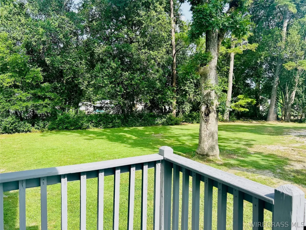 403 W Main Street Samson AL 36477