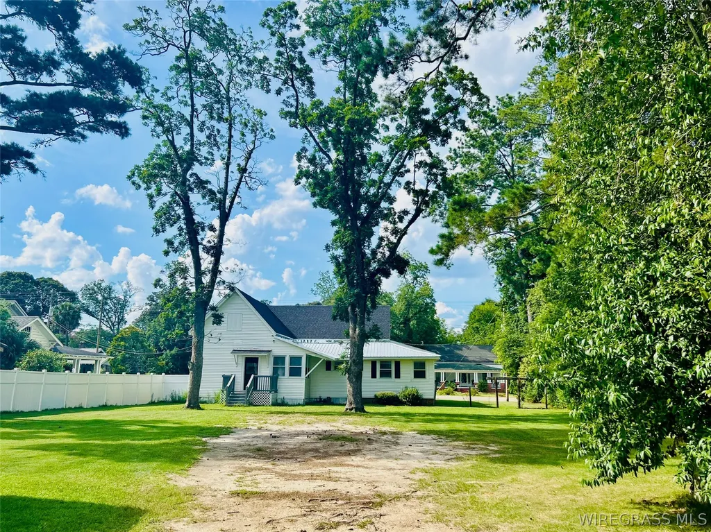 403 W Main Street Samson AL 36477