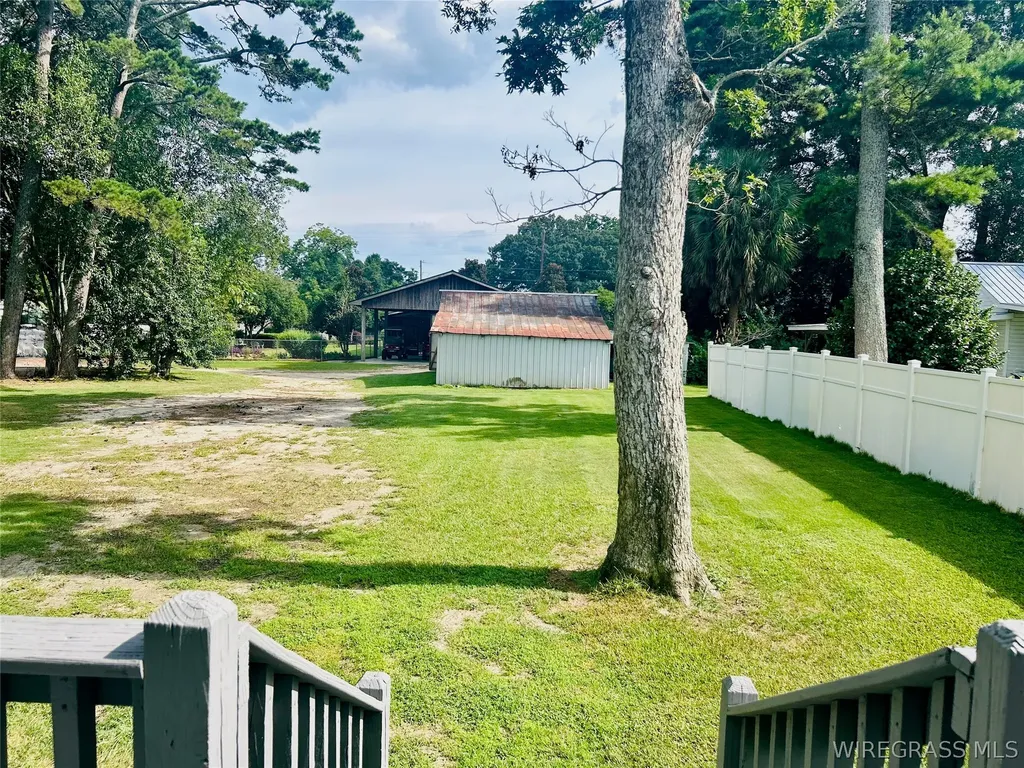 403 W Main Street Samson AL 36477