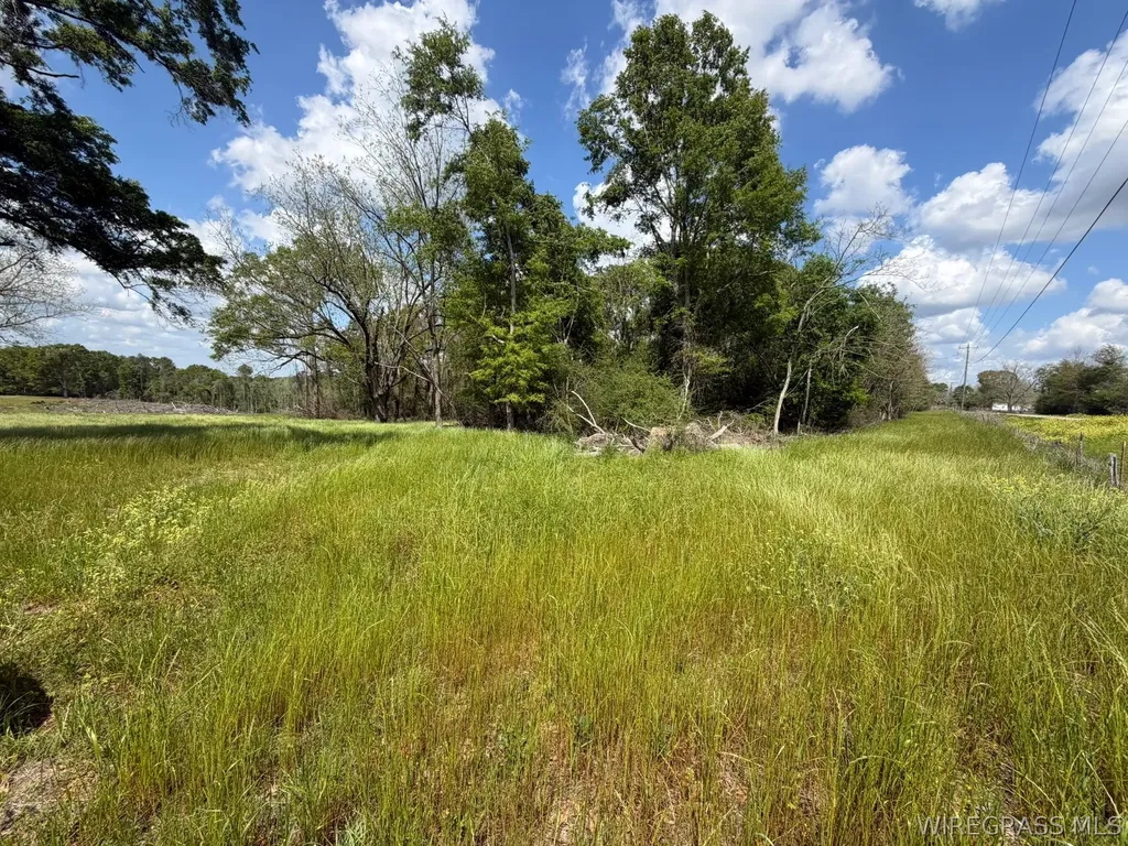 0 Highway 125 Brundidge AL 36010
