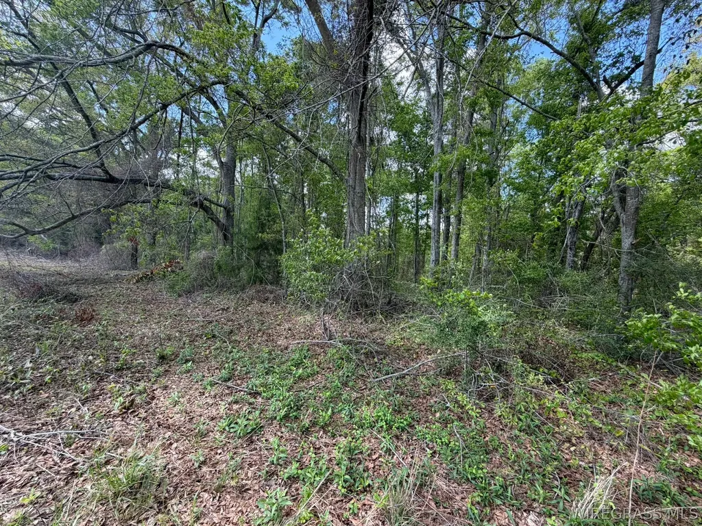 0 Highway 125 Brundidge AL 36010