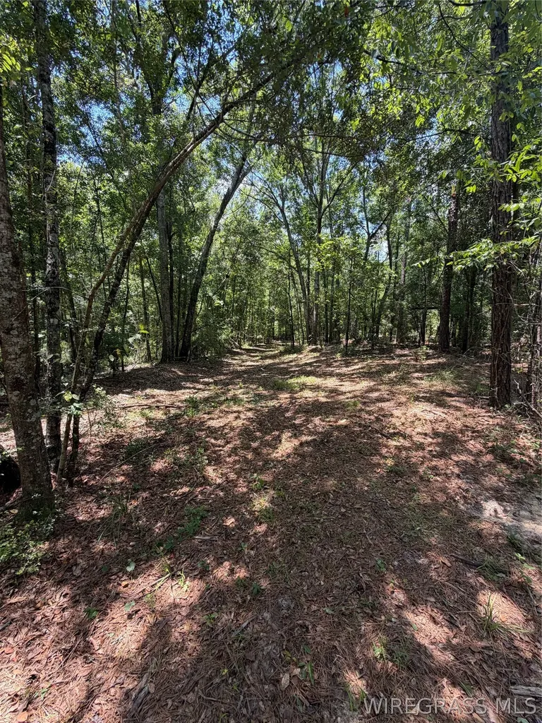 0 Highway 125 Brundidge AL 36010