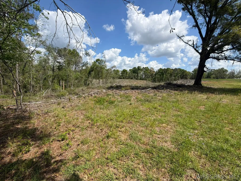 0 Highway 125 Brundidge AL 36010