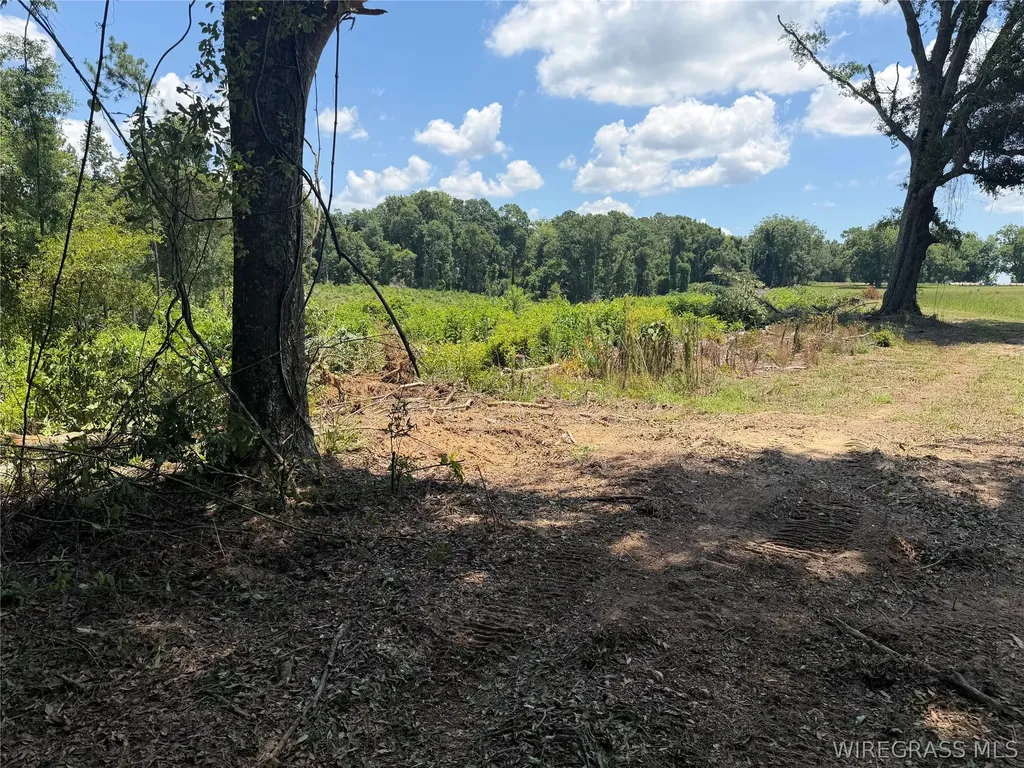0 Highway 125 Brundidge AL 36010