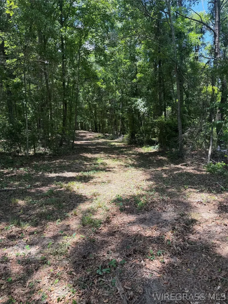 0 Highway 125 Brundidge AL 36010