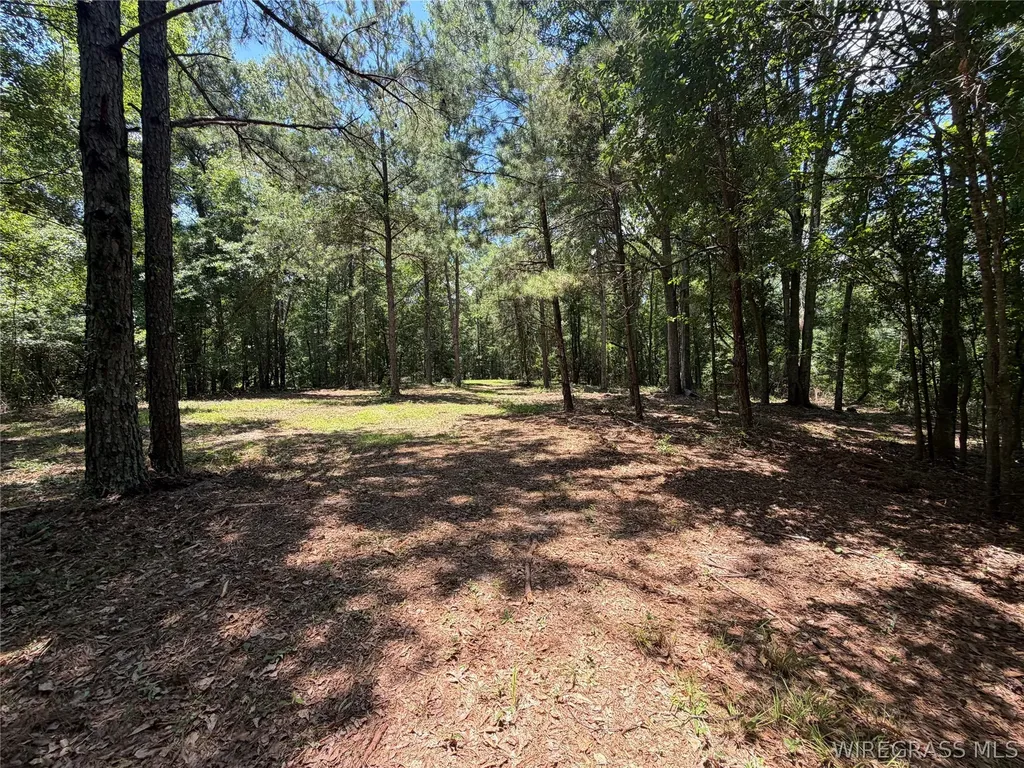 0 Highway 125 Brundidge AL 36010