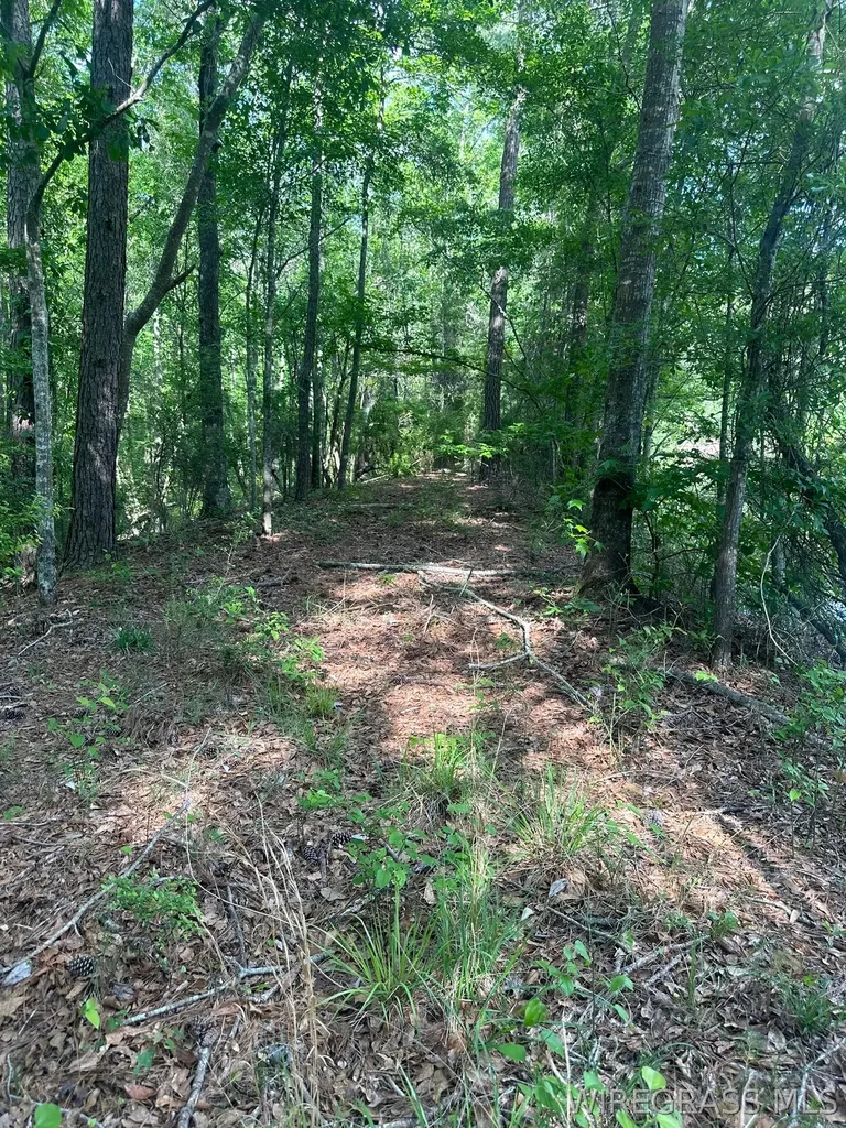 0 Highway 125 Brundidge AL 36010