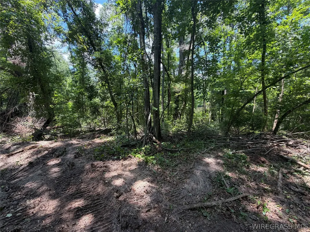 0 Highway 125 Brundidge AL 36010