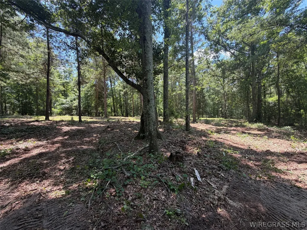 0 Highway 125 Brundidge AL 36010