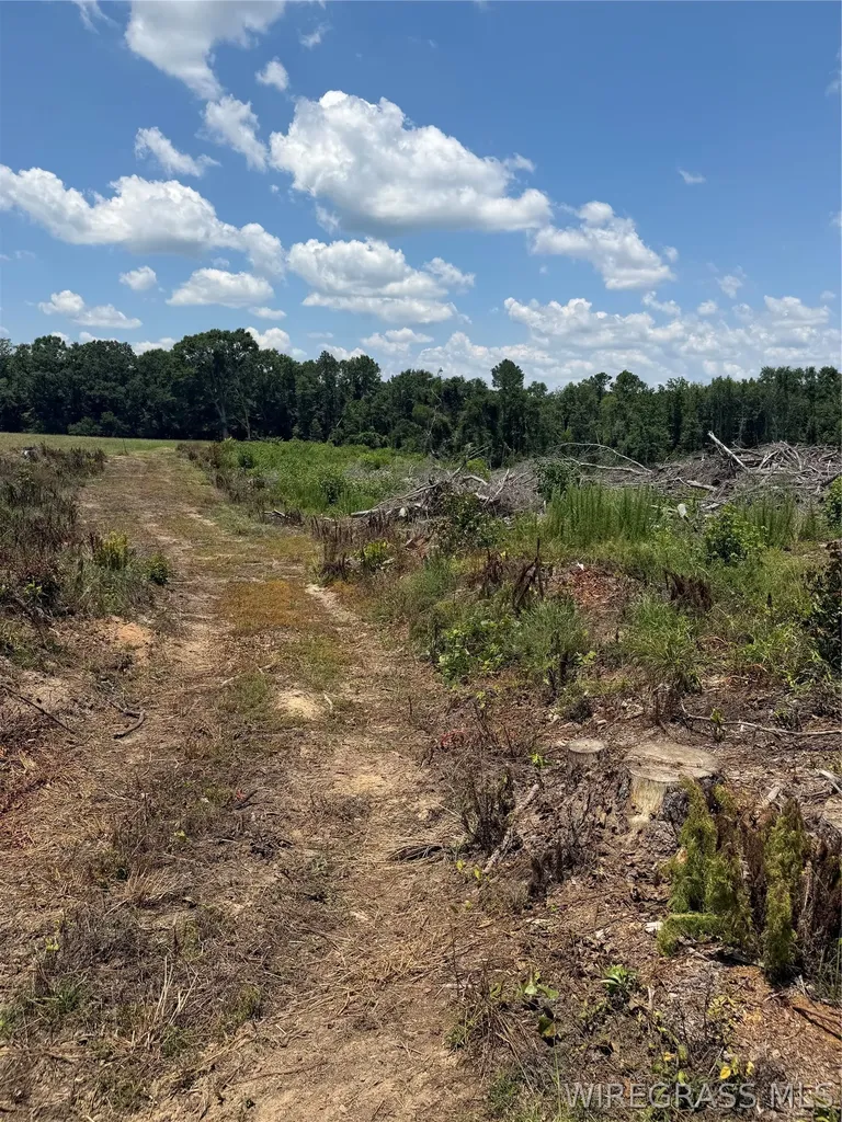 0 Highway 125 Brundidge AL 36010
