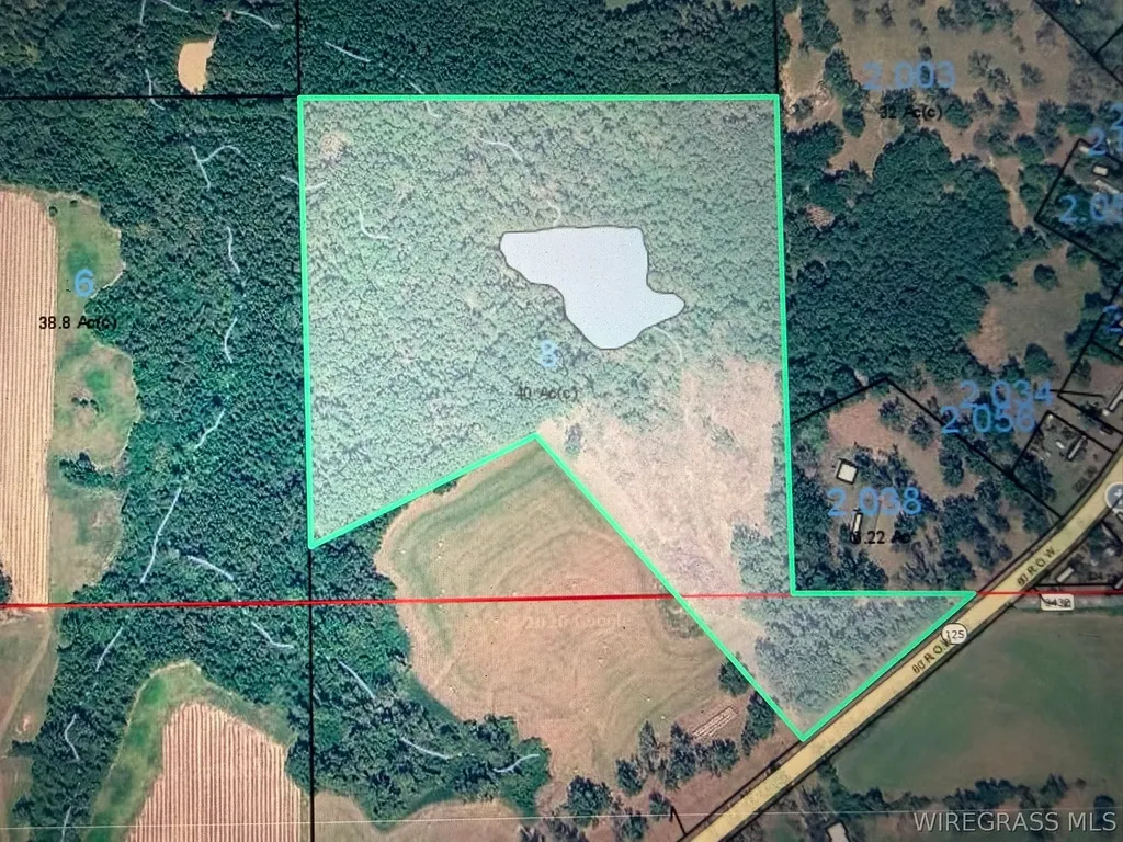 0 Highway 125 Brundidge AL 36010