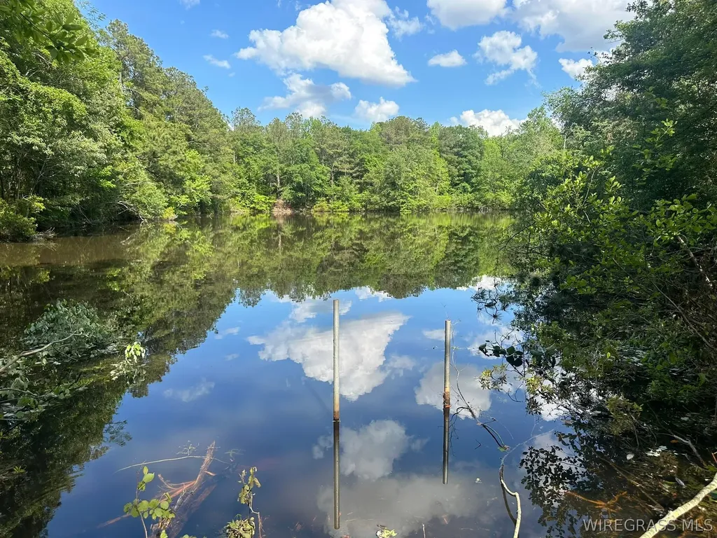 0 Highway 125 Brundidge AL 36010