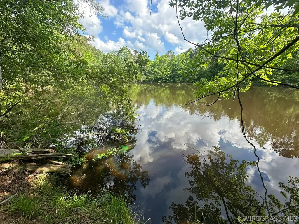 0 Highway 125 Brundidge AL 36010