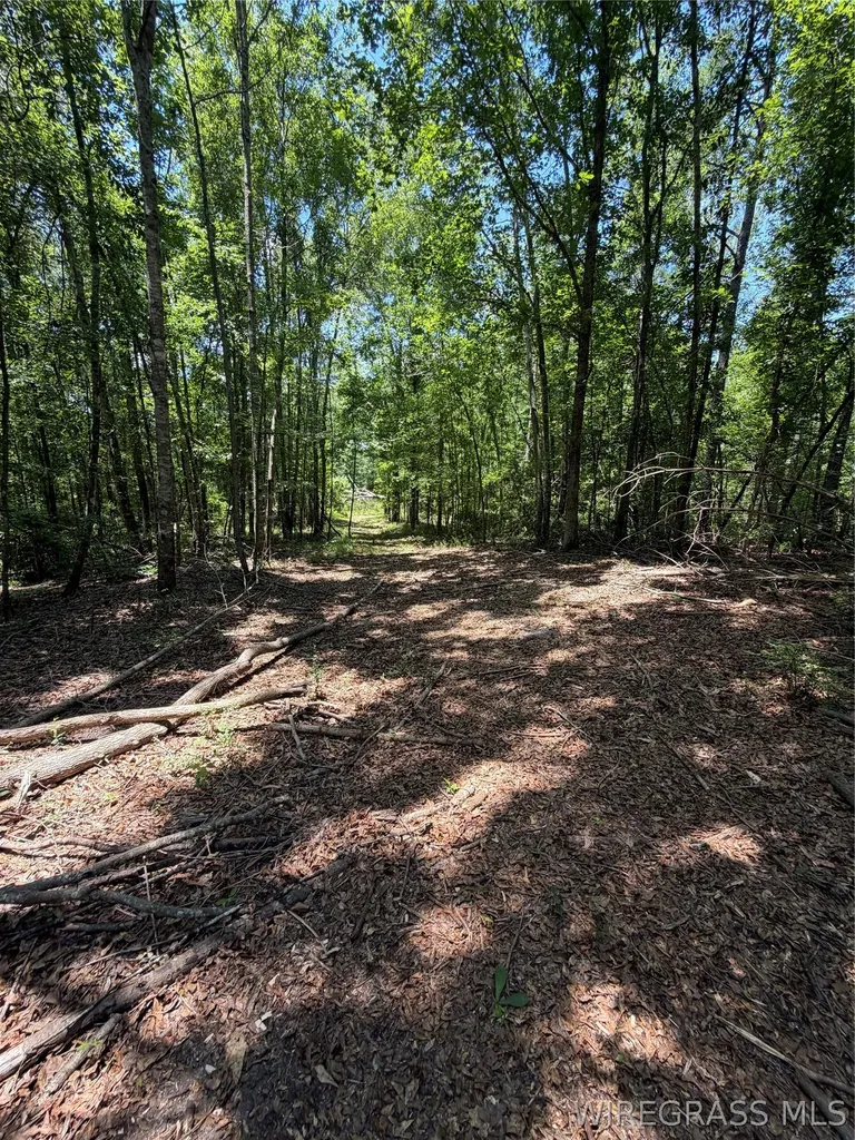 0 Highway 125 Brundidge AL 36010