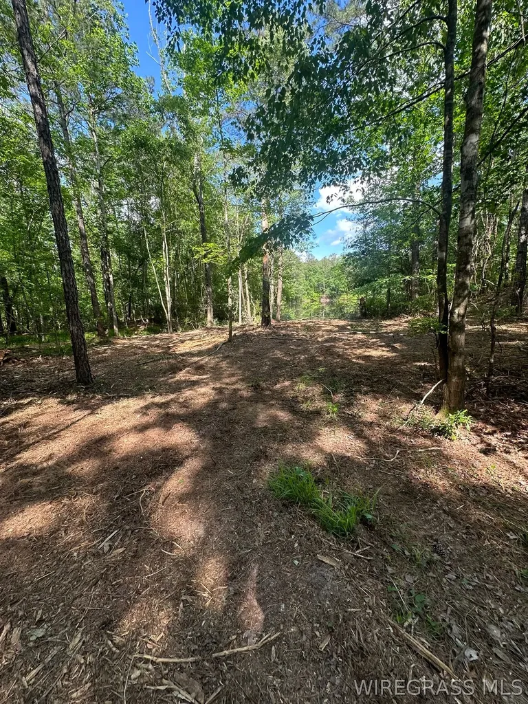0 Highway 125 Brundidge AL 36010