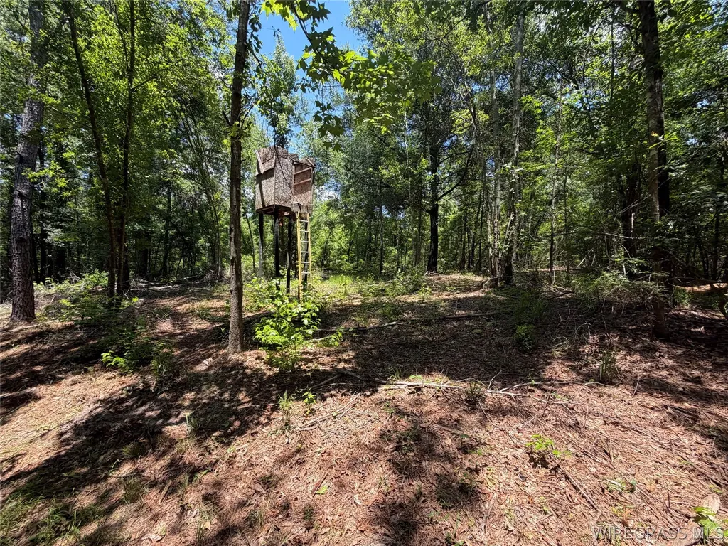 0 Highway 125 Brundidge AL 36010