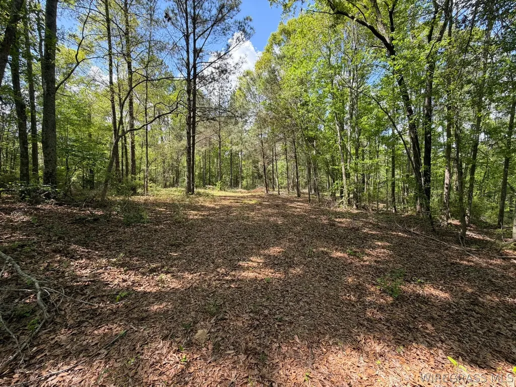 0 Highway 125 Brundidge AL 36010