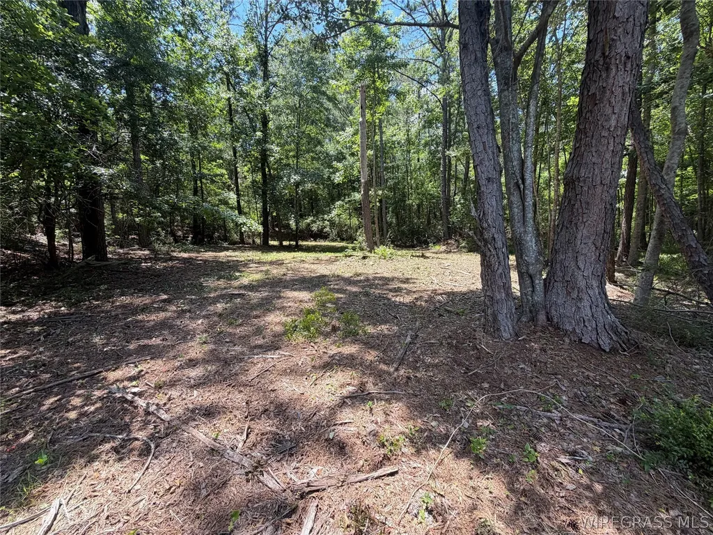0 Highway 125 Brundidge AL 36010