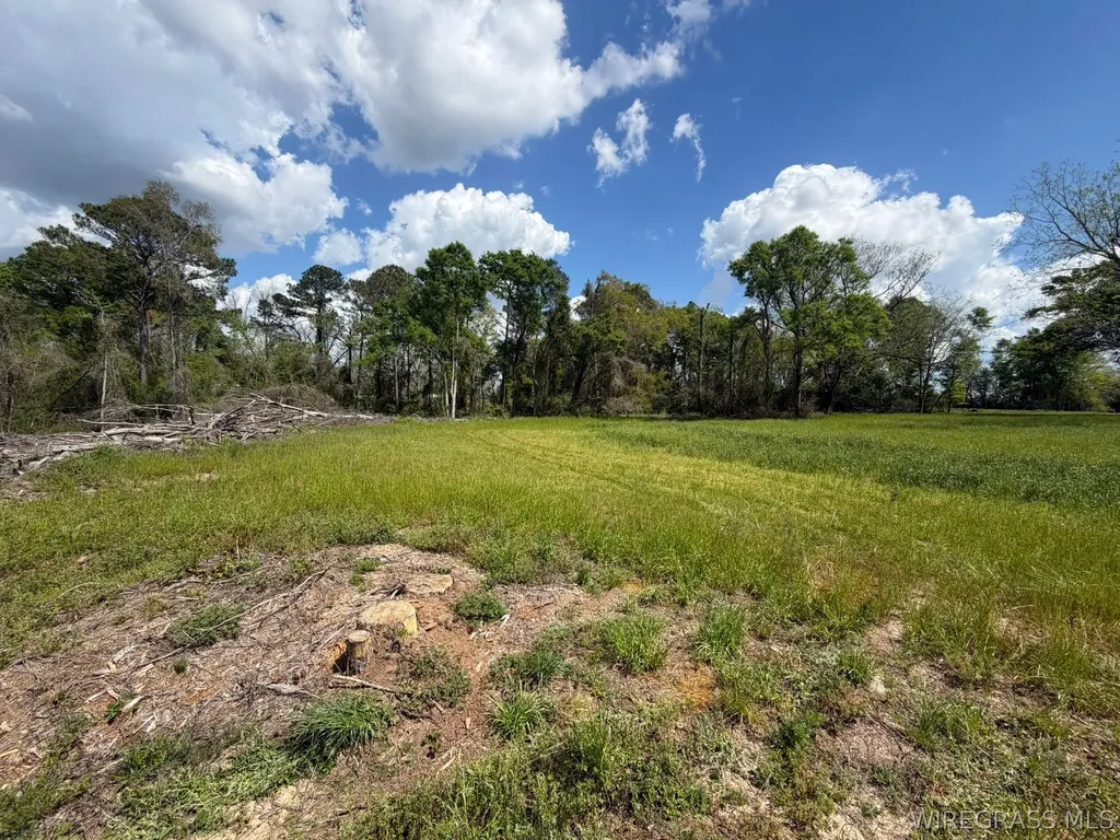 0 Highway 125 Brundidge AL 36010