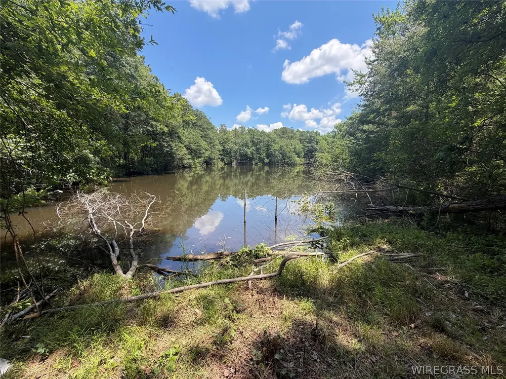 0 Highway 125 Brundidge AL 36010