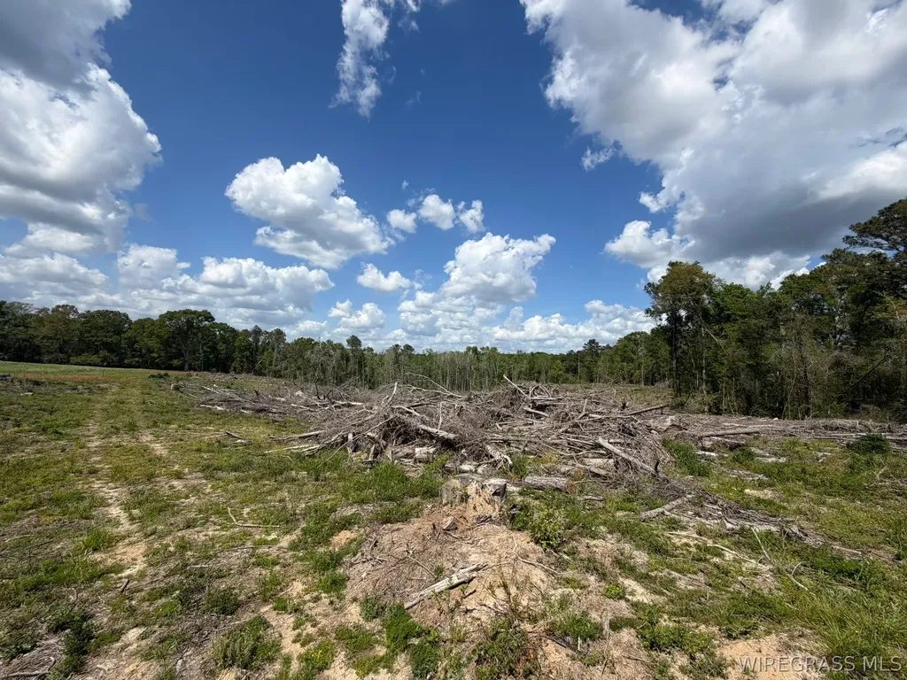 0 Highway 125 Brundidge AL 36010