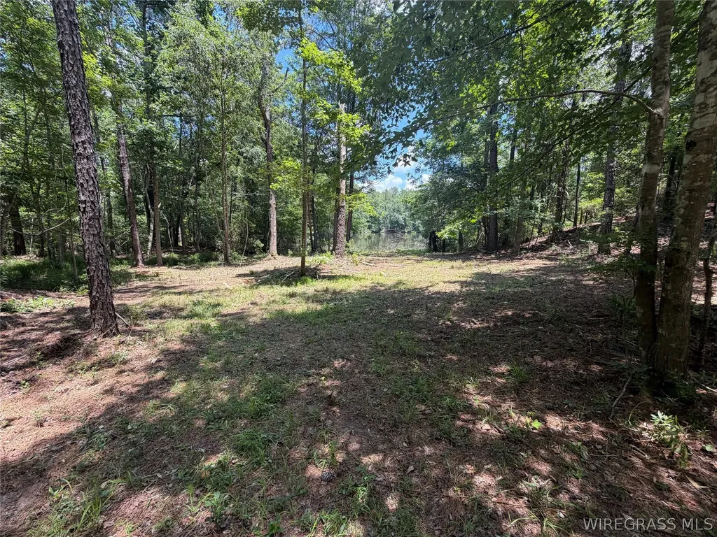0 Highway 125 Brundidge AL 36010