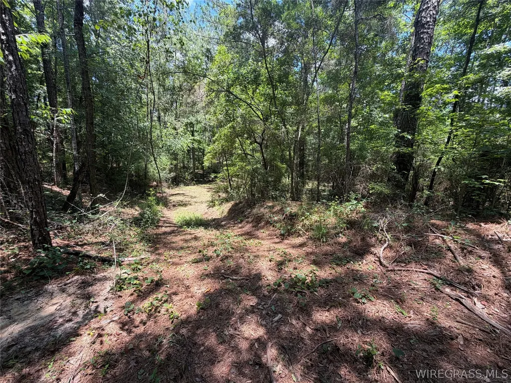 0 Highway 125 Brundidge AL 36010