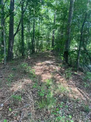 0 Highway 125 Brundidge AL 36010
