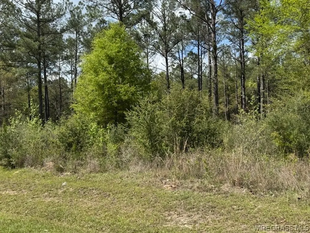 97 Harbor Road Andalusia AL 36421