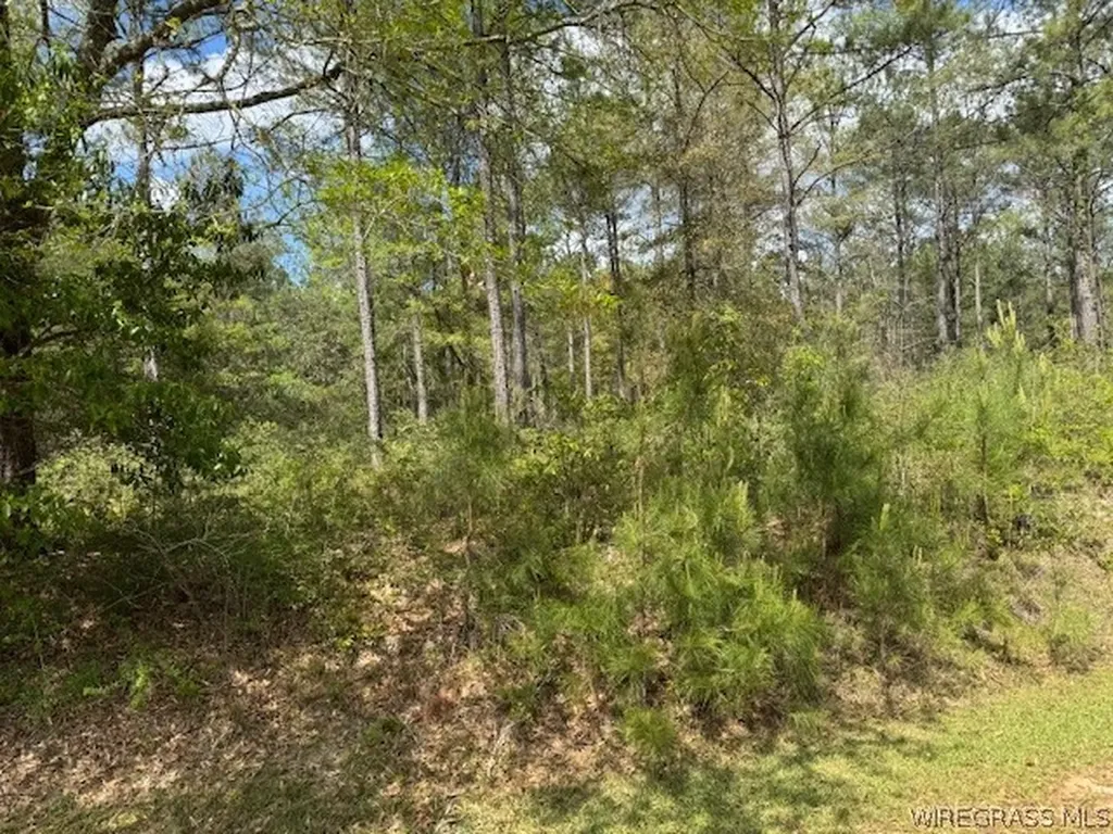 97 Harbor Road Andalusia AL 36421