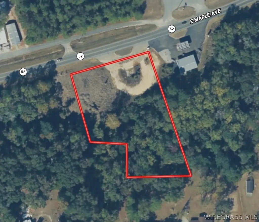 692 E State Highway 52 Geneva AL 36340