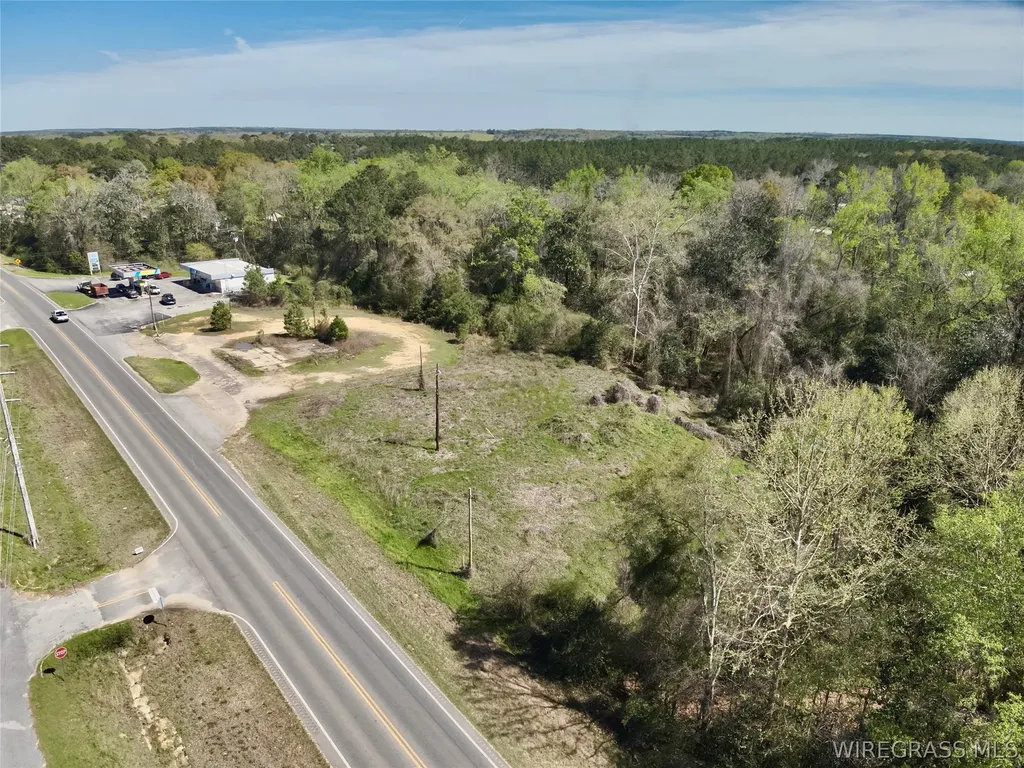 692 E State Highway 52 Geneva AL 36340