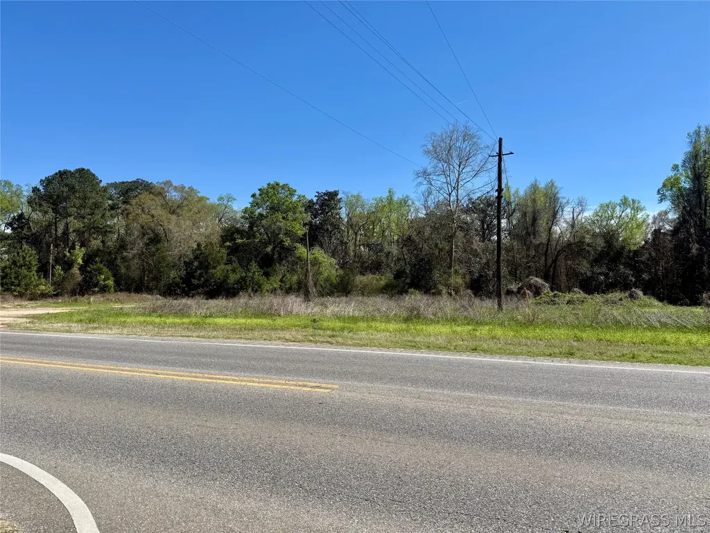 692 E State Highway 52 Geneva AL 36340