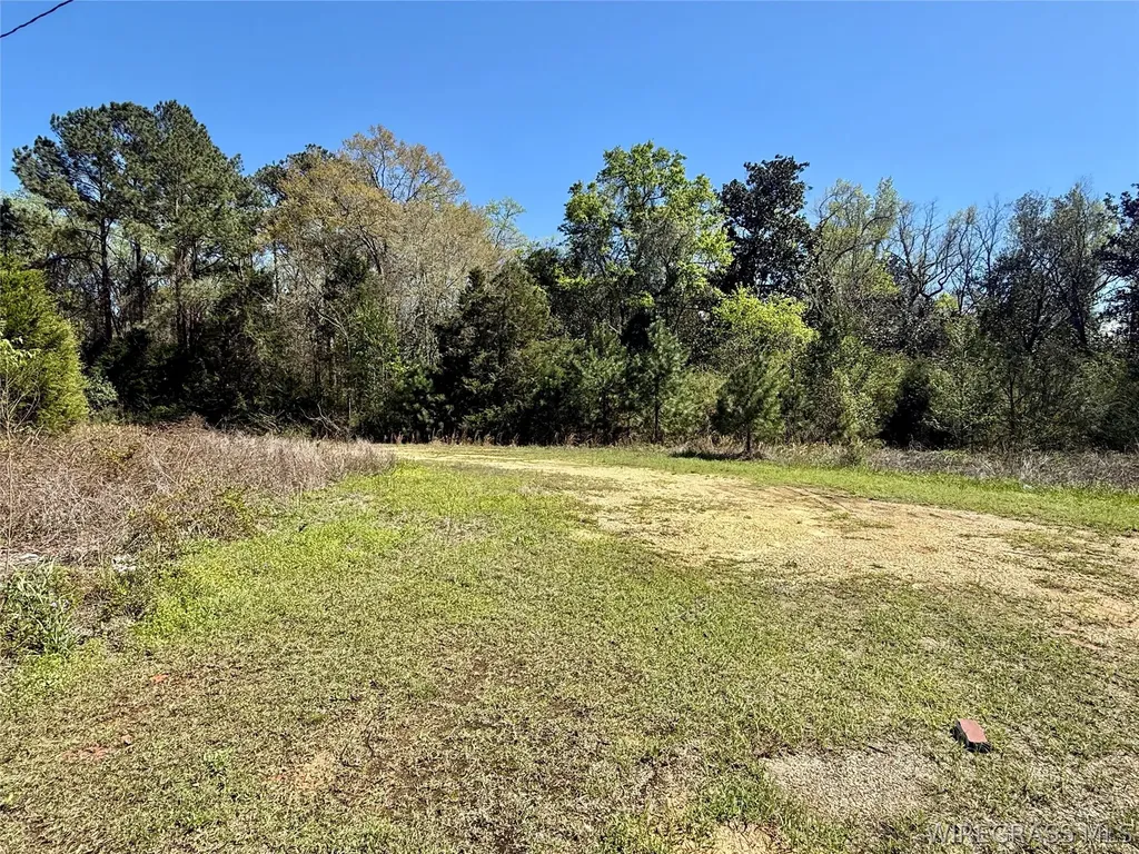 692 E State Highway 52 Geneva AL 36340