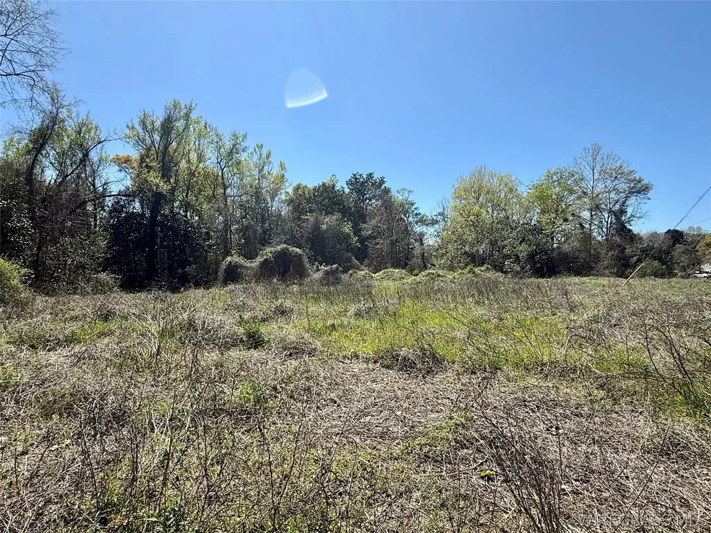 692 E State Highway 52 Geneva AL 36340