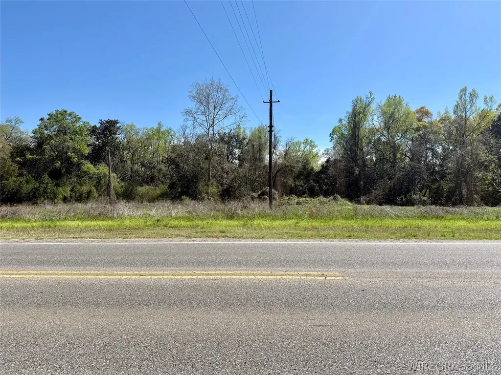 692 E State Highway 52 Geneva AL 36340