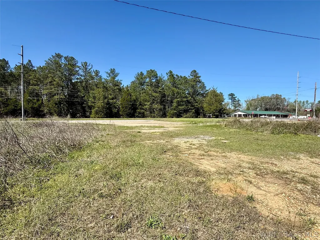 692 E State Highway 52 Geneva AL 36340
