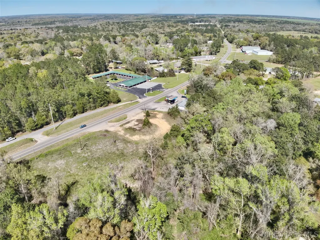 692 E State Highway 52 Geneva AL 36340