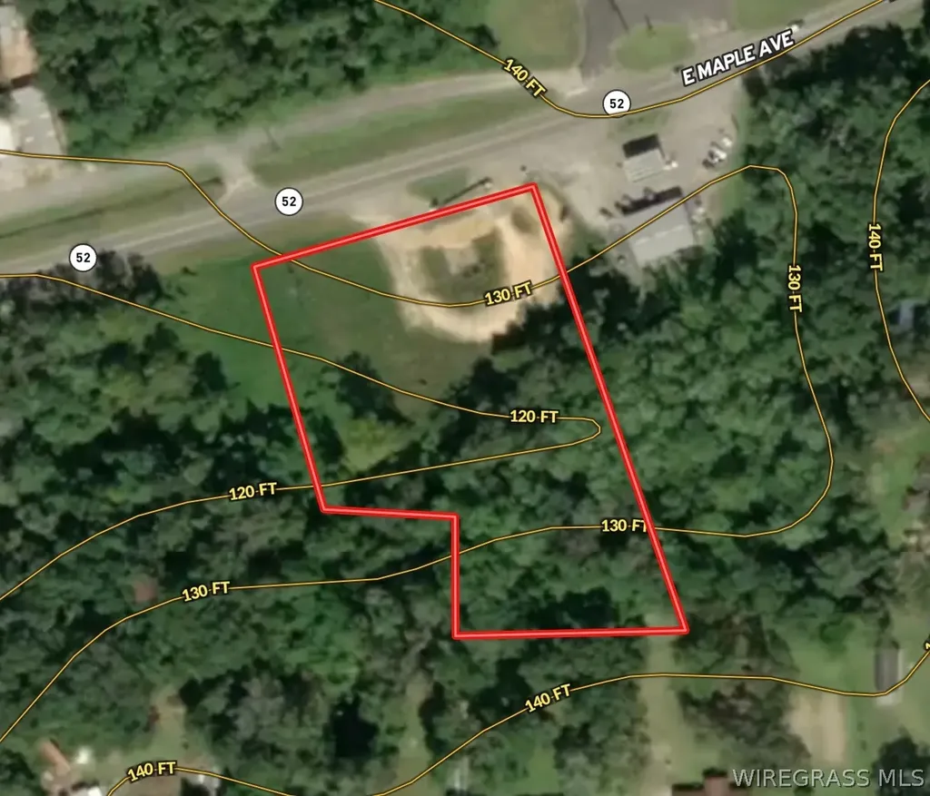 692 E State Highway 52 Geneva AL 36340
