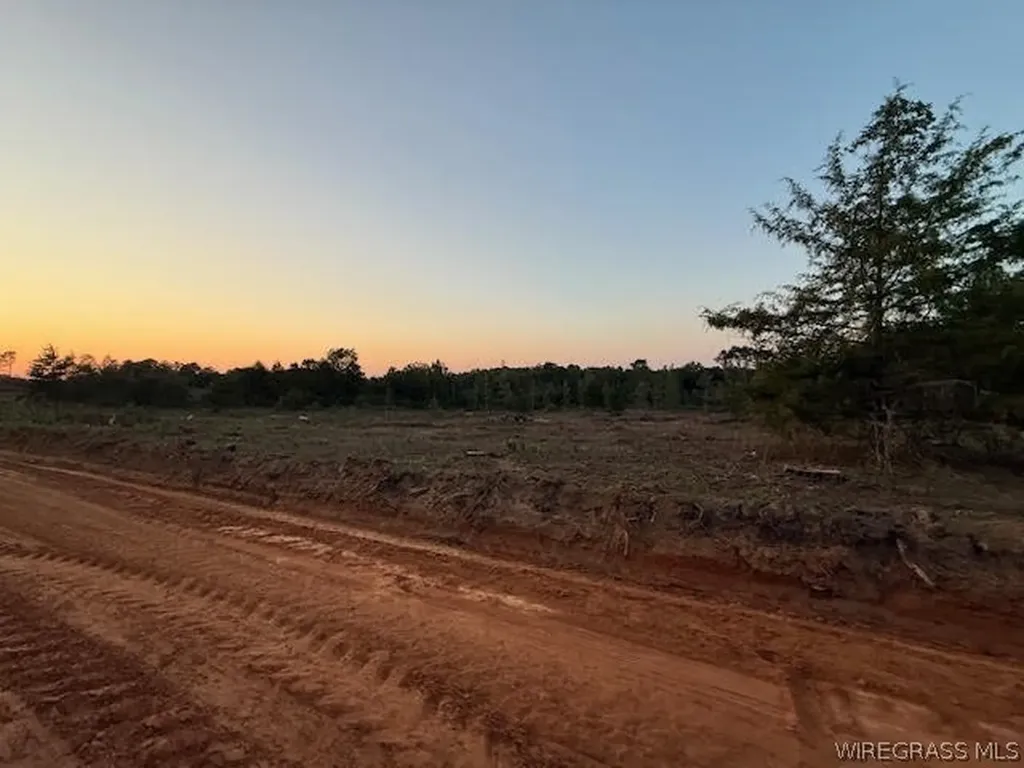 525 County Road 682 Coffee Springs AL 36318
