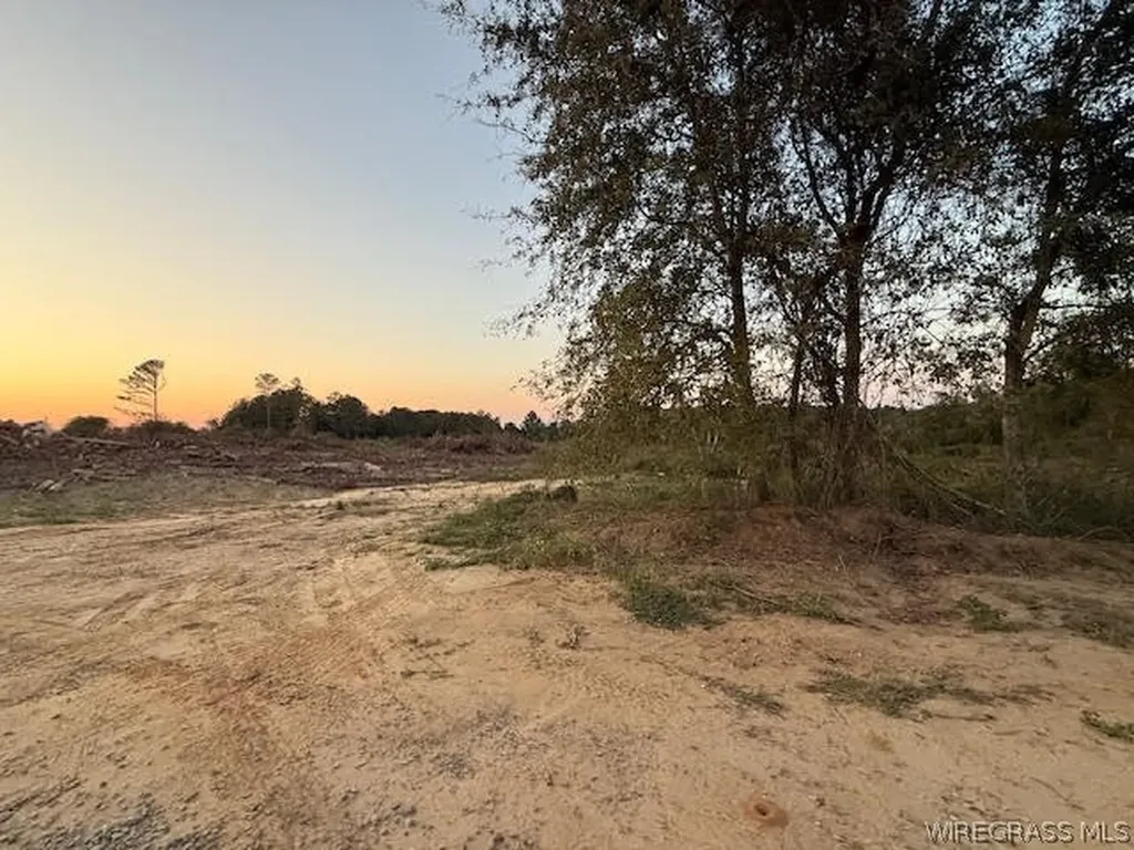 525 County Road 682 Coffee Springs AL 36318