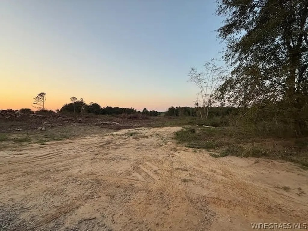 525 County Road 682 Coffee Springs AL 36318