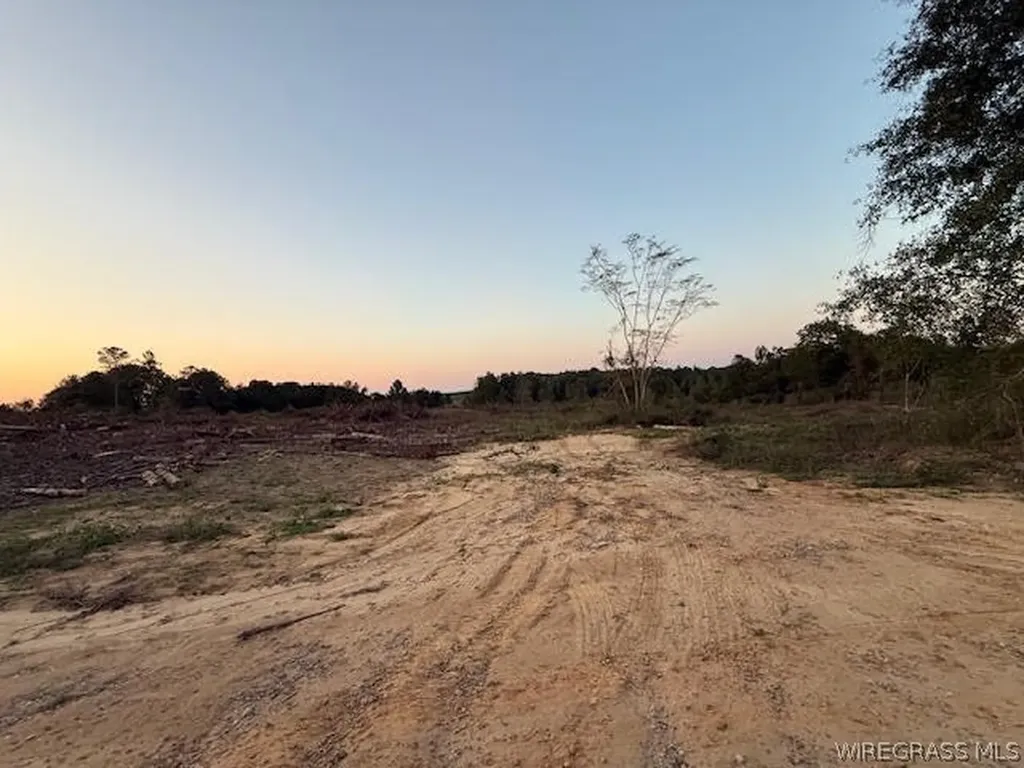 525 County Road 682 Coffee Springs AL 36318
