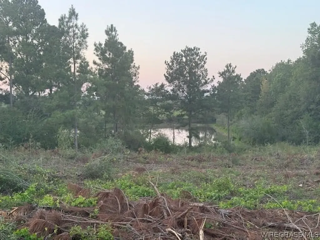 525 County Road 682 Coffee Springs AL 36318