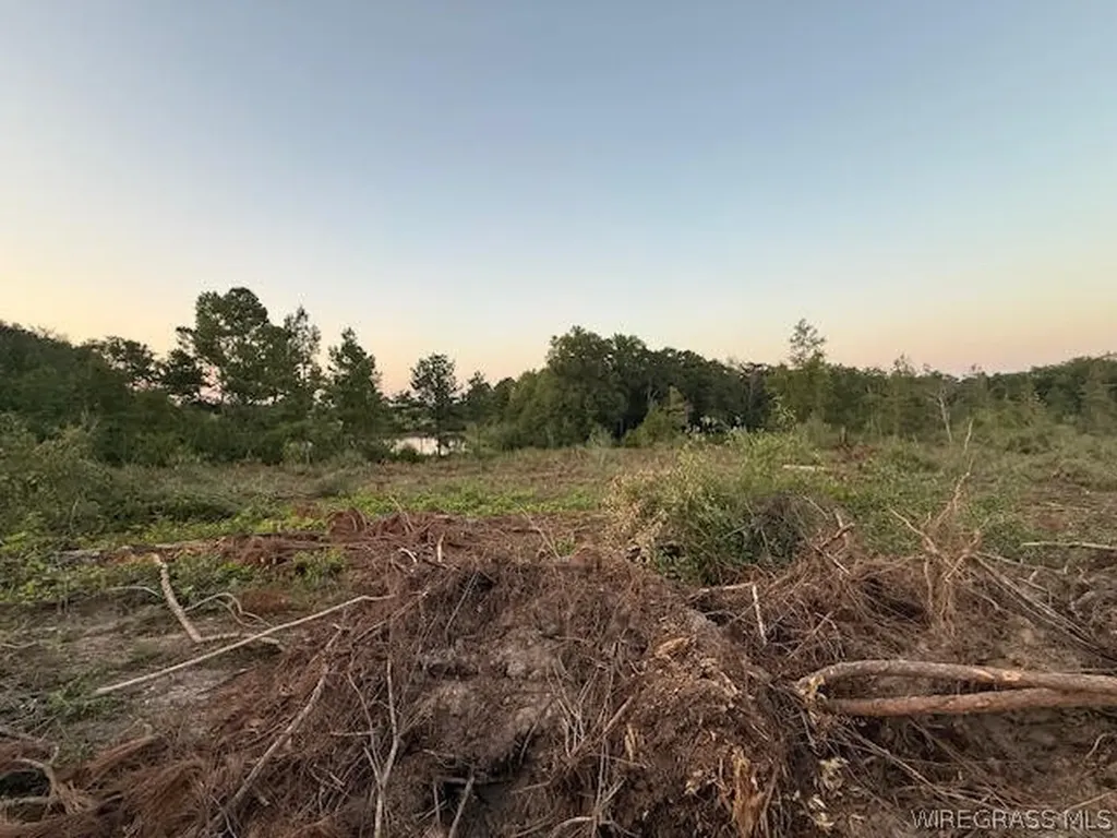 525 County Road 682 Coffee Springs AL 36318