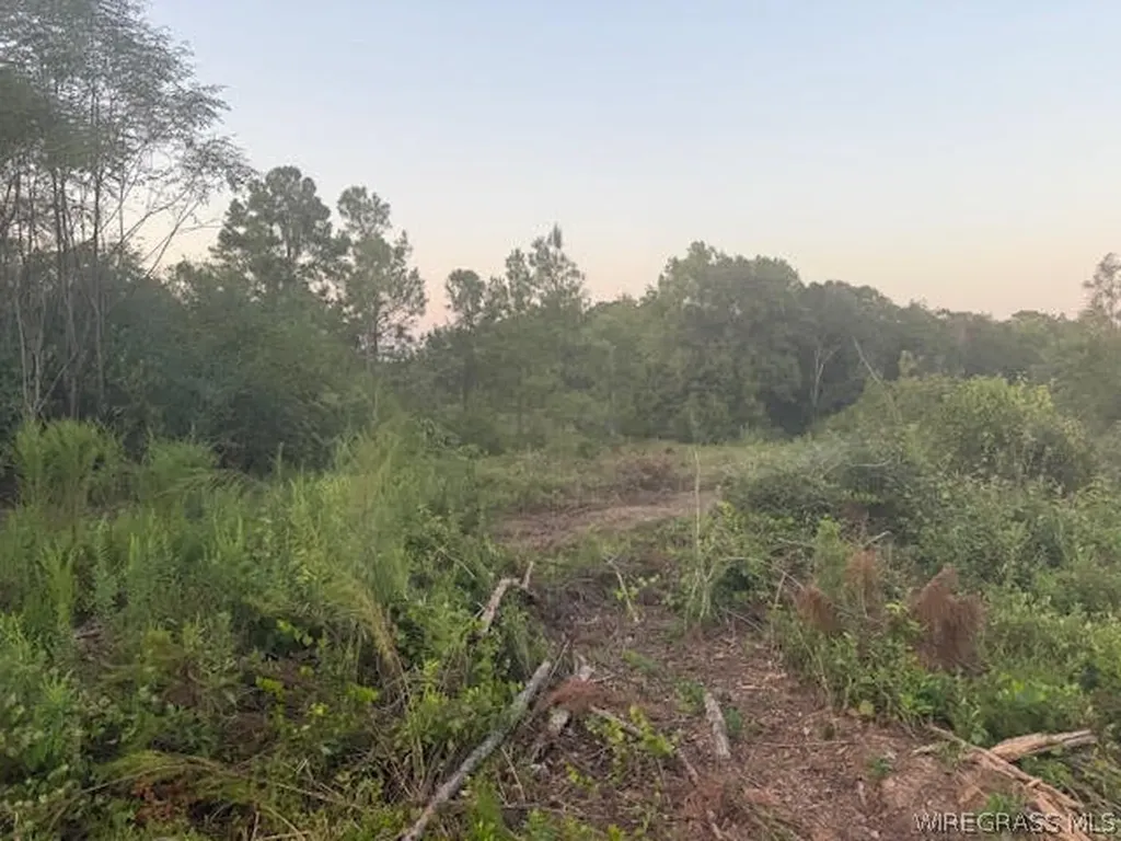 525 County Road 682 Coffee Springs AL 36318