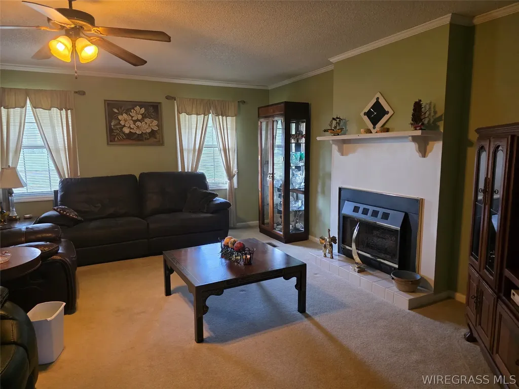 480 Shadow Woods Lane Ozark AL 36360
