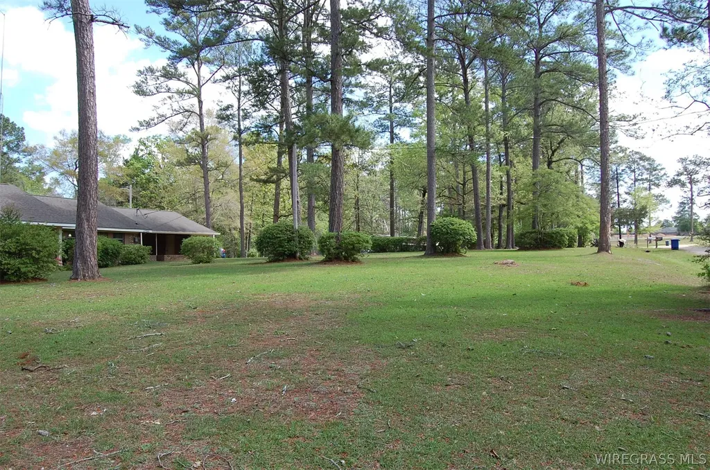 16367 Bernard Stewart Road Andalusia AL 36421