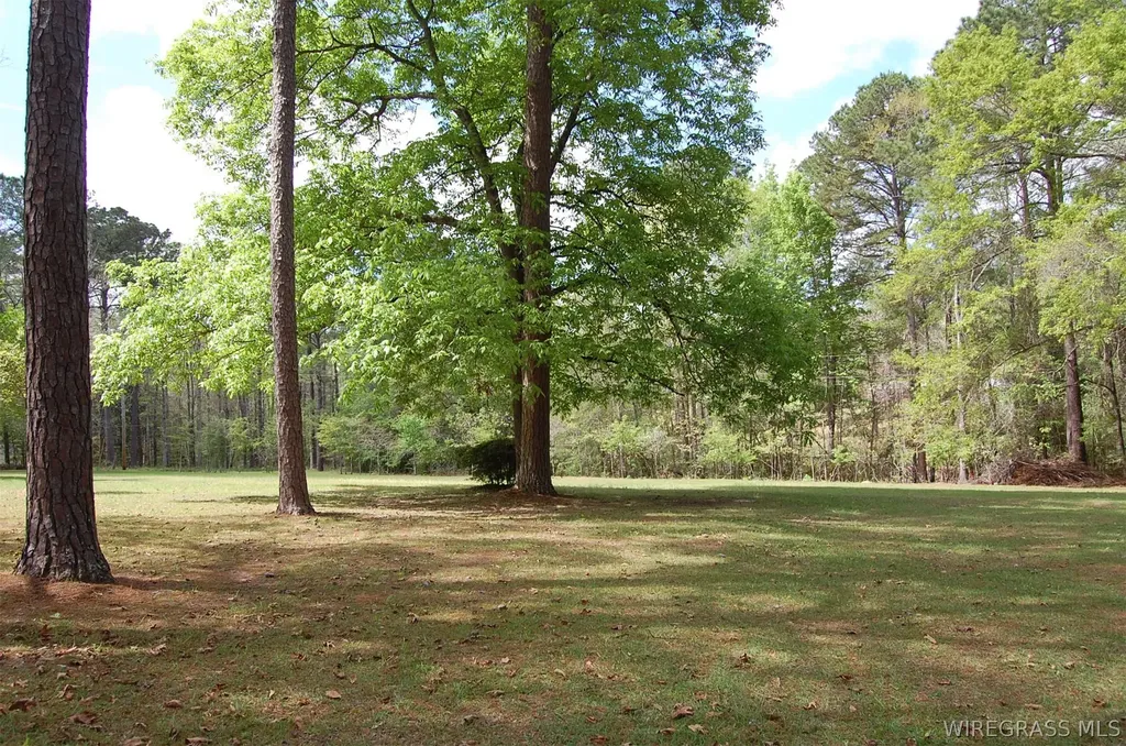 16367 Bernard Stewart Road Andalusia AL 36421