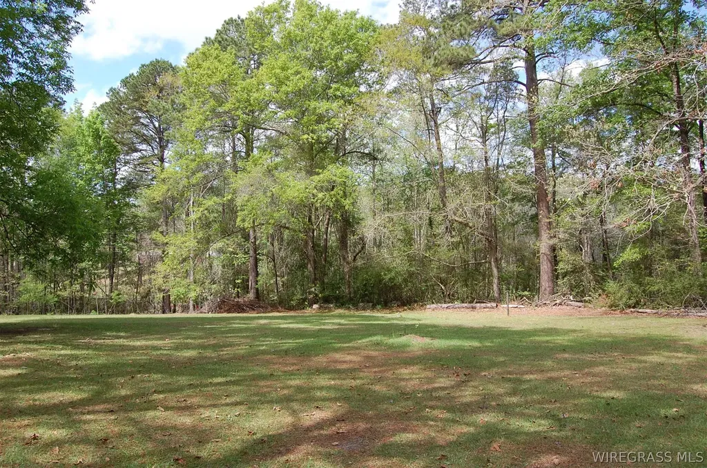 16367 Bernard Stewart Road Andalusia AL 36421